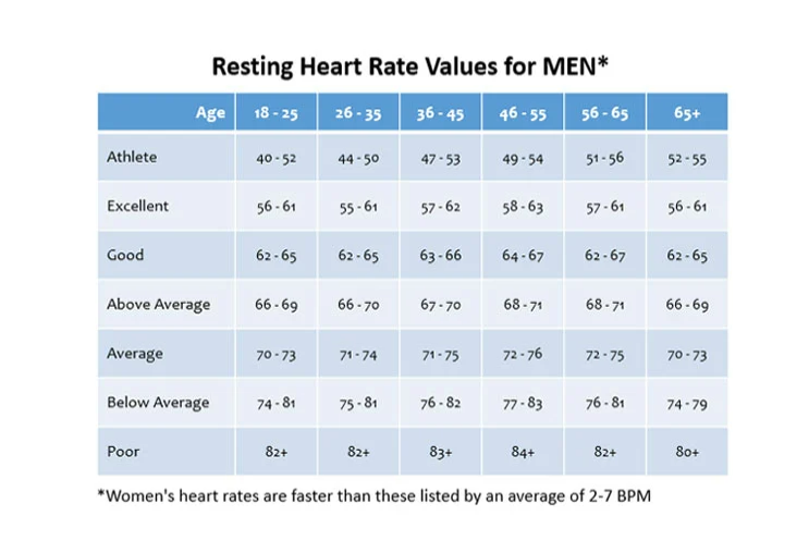 Heart Health: What Is a Healthy and Normal Heart Rate for My Age